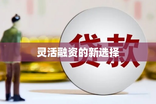 上林灵活融资的新选择