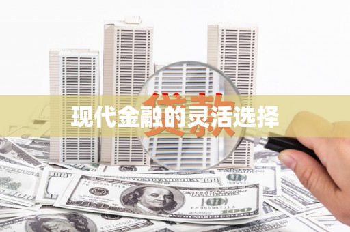 上林现代金融的灵活选择