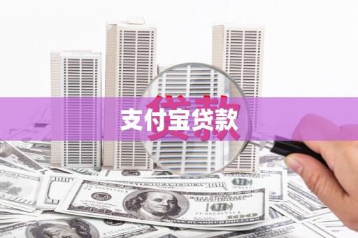 上林支付宝贷款