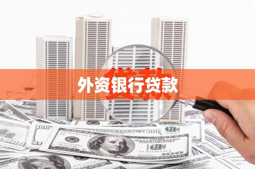 上林外资银行贷款