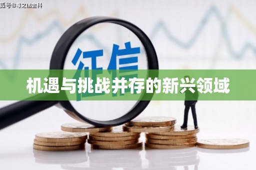 上林机遇与挑战并存的新兴领域