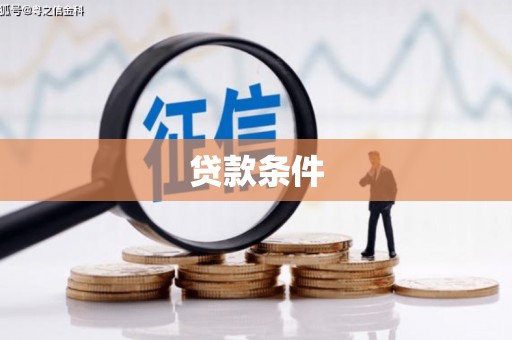 上林贷款条件
