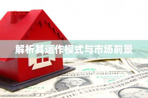 上林解析其运作模式与市场前景