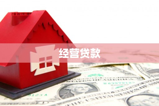 上林经营贷款