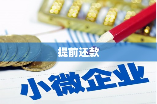 上林提前还款