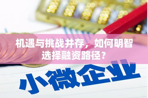 上林机遇与挑战并存，如何明智选择融资路径？