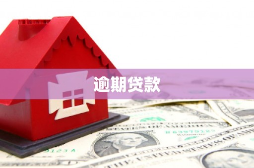 上林逾期贷款