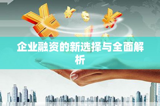 上林企业融资的新选择与全面解析