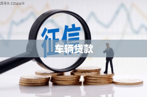 上林车辆贷款