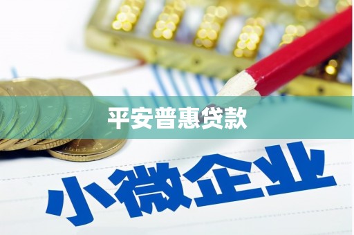 上林平安普惠贷款
