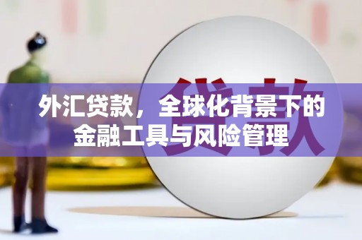上林外汇贷款，全球化背景下的金融工具与风险管理