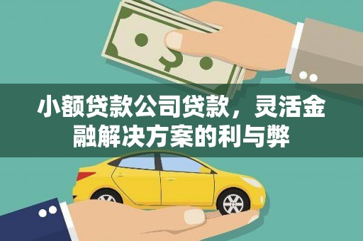 上林小额贷款公司贷款，灵活金融解决方案的利与弊