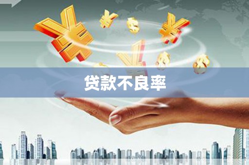 上林贷款不良率